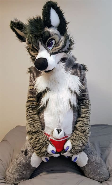 Fursuit Porn Videos 